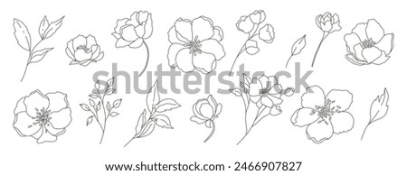 Collection of simple delicate hand drawn flowers leaves and branches in line art style. Trendy vector botanical sketch illustration on white background