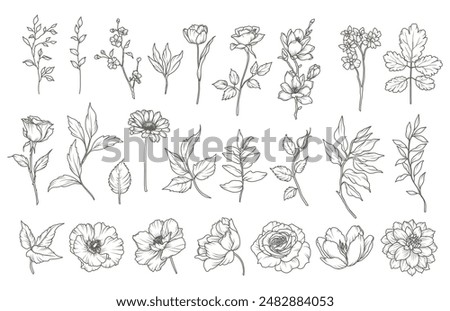 Set of hand drawn flowers, branches and leaves in line art style. Collection of sketches of botanical elements. Vector illustration for tattoo, wedding invitation, wallpaper, save the date card