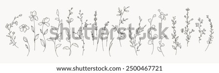 Hand drawn thin floral botanical line art. Trendy minimal elements of wild and garden plants, branches, leaves, flowers, herbs. Vector illustration for logo or tattoo, invitation, save the date card