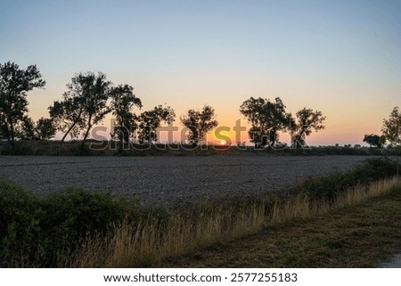 Similar – Image, Stock Photo sunset over agricultural fields near Bergheim