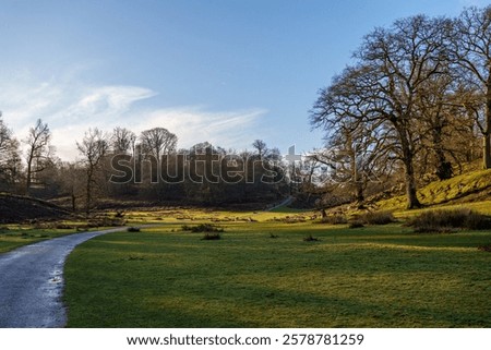 Similar – Image, Stock Photo Fallow deer grazing