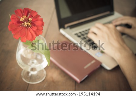 red flower in vase on desk and male hand doing work