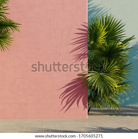 Bright painted pink and turquoise  wall with green tropical leaves, sunlight with shadows. Summer, spring background. 3d rendering.