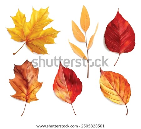 Realistic autumn leaves set isolated background, vector realistic, autumn illustration, hello autumn vector	