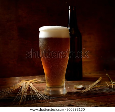 beer, barley on wooden background