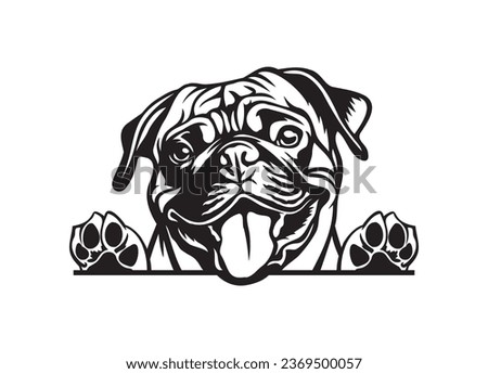 Happy Pug peeking dog. Pug portrait. Black and white vector illustration.