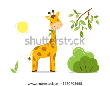 Landscape with cute baby giraffe chewing the leaves of a tree on an isolated white background. Flat vector kawaii character stands on the green grass on a sunny day and smiles happily. 