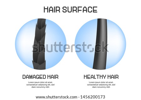 Surface of healthy and damaged hair under the microscope. Hair follicle condition closeup. Trichology medical concept. Vector illustration.