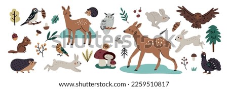 	
Cute forest animals collection. Owl, deer, hare, hedgehog, birds, squirrel, woodpecker, chipmunk, black grouse. Hand drawn vector illustration set woodland animals, trees, mushrooms isolated