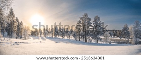 Image, Stock Photo Sunset in snowy winter countryside