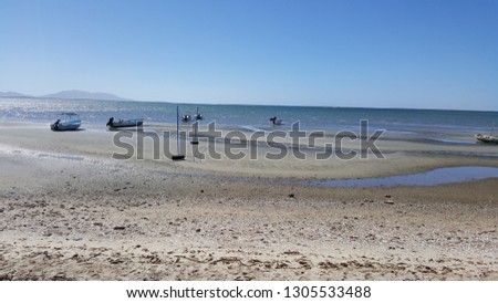 Shutterstock Puzzlepix