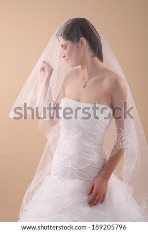 Sensuality. Woman with Transparent Wedding Veil