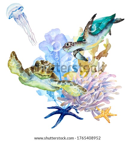 Sea turtles, jellyfish with long tentacles, seaweed, coral, anemone and starfish on a white background, hand drawn watercolor illustration.