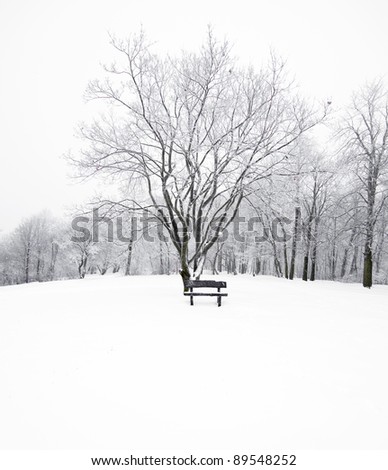 Nice winter photo with bench
