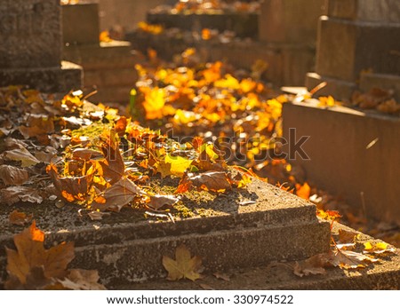 Similar – Image, Stock Photo sepulchers Nature Autumn