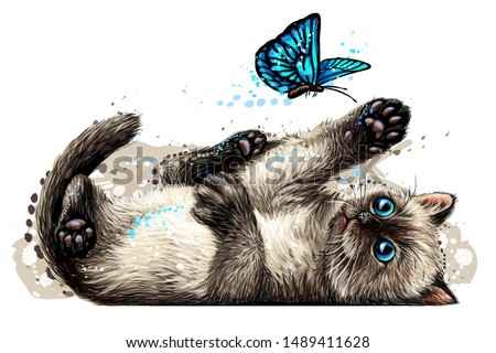 
Cat. A kitten is playing with a butterfly. Wall sticker with the image of a blue-eyed kitten catching a butterfly in a watercolor style.