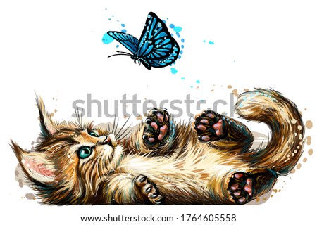 Cat. A kitten is playing with a butterfly. Wall sticker with the image of a blue-eyed Maine Coon kitten catching a butterfly in a watercolor style.