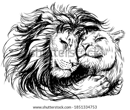 Leos. A lion embraces a lioness. Graphic, digital portrait of lions in love on a white background. Digital vector graphics.