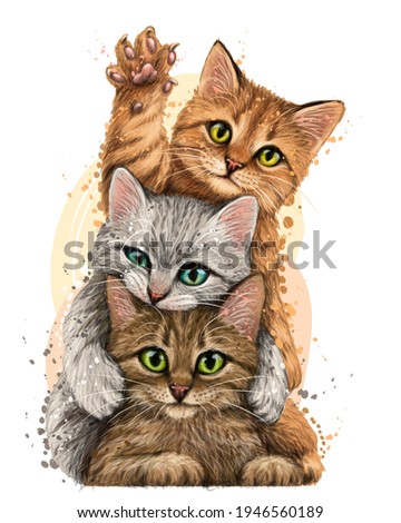 Cats. Wall sticker. Color, graphic portrait of three cute kittens on a white background in watercolor style. Digital Vector Graphics.  Individual layers