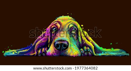 Dog. Wall sticker. Abstract, colorful, neon portrait of a Basset Hound dog on a dark brown background in the style of pop art. Digital vector graphics. Background on a separate layer.