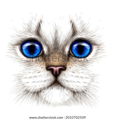 Cat. Creative design. Color portrait of a cat with blue eyes close-up on a white background. Digital vector graphics