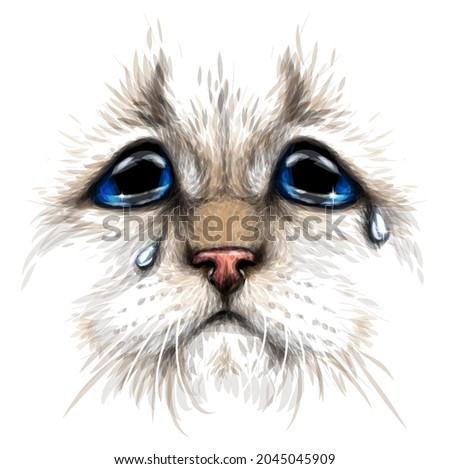 Cat. Creative design. Color portrait of a crying cat with blue eyes close-up on a white background. Digital vector graphics