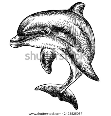 Dolphin Tattoo Drawings | Free download on ClipArtMag