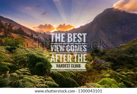 Similar – Image, Stock Photo The best view is definitely from a tree. You can see wild girls kissing while a man with a bathrobe is watching closely. Sexy bodies dressed in black and white underwear are all over the ground. Some wild action during wild summer nights.