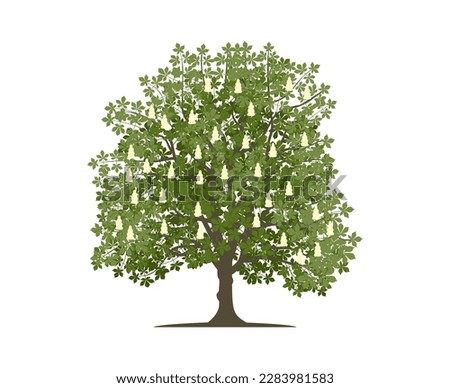 Vector drawing of chestnut tree. Nature and ecology. Isolated vector illustration of chestnut tree on a white background for social networks, posters, cards and more.