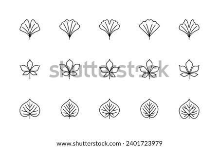 Leaf linear icons vector set. Ginkgo biloba, chestnut, linden. Nature symbols. Isolated collection of leaves linear icons for creating logos, illustrations, web design, printed products and more.
