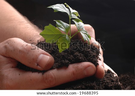 AGRICULTURE hands ground plant