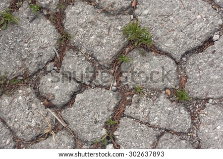 Old crack asphalt road floor and grass.
