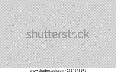 Set of isolated water drops on transparent background. Realistic vector illustration.
