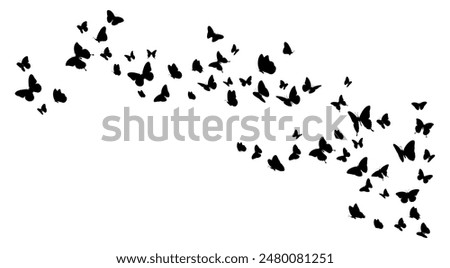 Flock of black butterflies silhouette flying on white background. Vector illustration 
