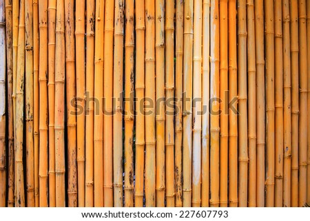bamboo floor background