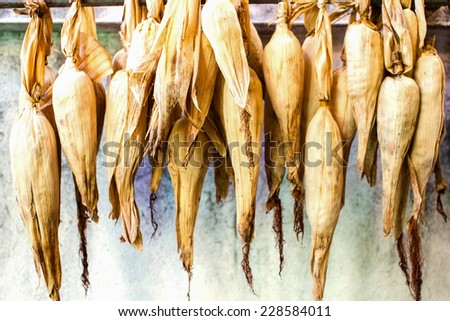 Yellow corn is dried for storage