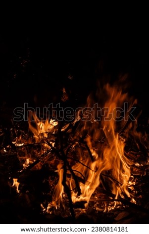 Similar – Image, Stock Photo Burned grass. Spring fires. Ashes of the burnt grass. A field with burnt grass with trash and burnt trees.