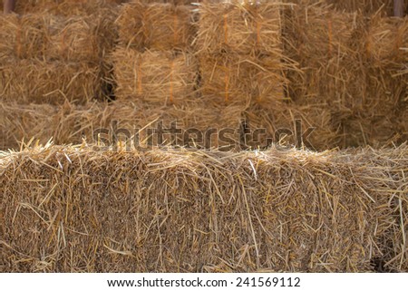 pile of straw used animal food in farm