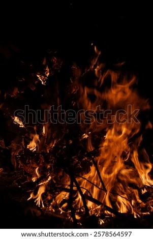 Similar – Image, Stock Photo Burned grass. Spring fires. Ashes of the burnt grass. A field with burnt grass with trash and burnt trees.