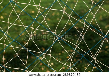View through the safety net at the green grass background