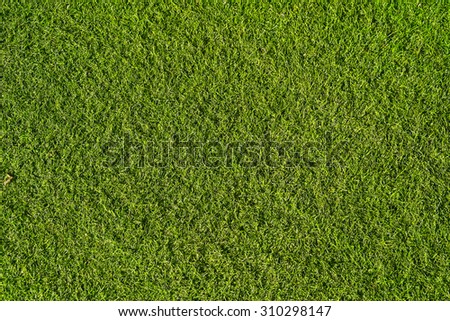 Abstract background green artificial Turf, Green textur background