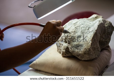 Boy  geologist  study  on  a rock