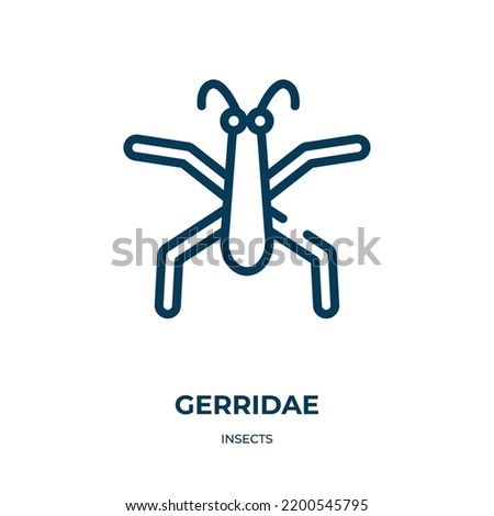 Gerridae icon. Linear vector illustration from insects collection. Outline gerridae icon vector. Thin line symbol for use on web and mobile apps, logo, print media.