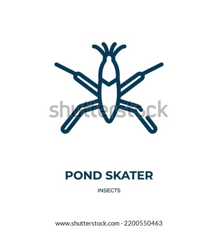 Pond skater icon. Linear vector illustration from insects collection. Outline pond skater icon vector. Thin line symbol for use on web and mobile apps, logo, print media.