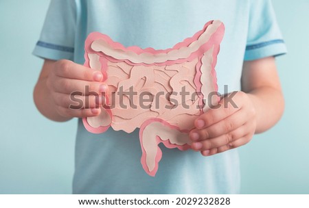 Child holding decorative model intestine. Healthy digestion children concept, probiotics and prebiotics for microbiome intestine. Close up
