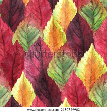 Watercolor hand drawn rows of lots of red, orange, burgundy, vinous, yellow, green multicolored autumn seasonal leaves seamless pattern as fall background. Aquarelle web design for print. Foto d'archivio © 