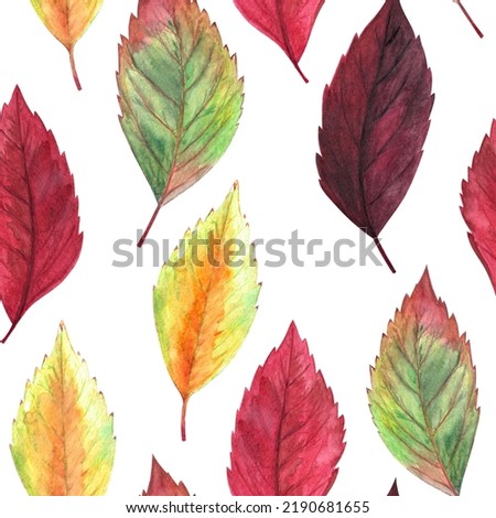 Watercolor hand drawn painted vertical rows of red, orange, burgundy, vinous, yellow, green multicolored autumn leaves seamless pattern as fall background on white. Aquarelle web design for print. Foto d'archivio © 