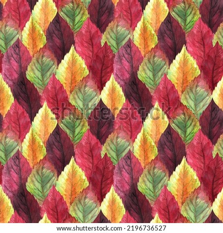 Watercolor hand drawn rows of lots of red, orange, burgundy, vinous, yellow, green multicolored autumn seasonal leaves seamless pattern as fall background. Aquarelle web design for print. Foto d'archivio © 