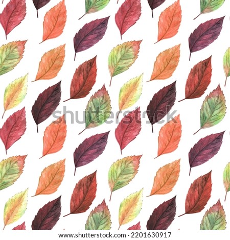 Watercolor hand drawn painted little red, orange, burgundy, vinous, yellow, green colored autumn season leaves seamless pattern on white background. Aquarelle web design for print. Foto d'archivio © 