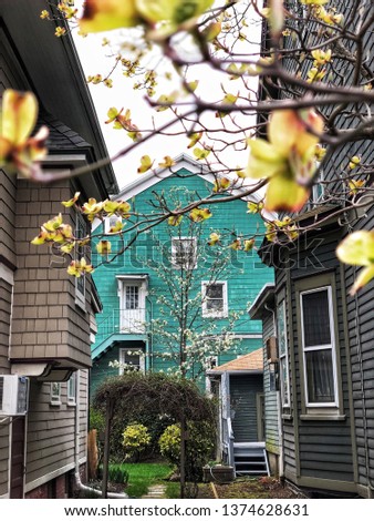 Similar – Image, Stock Photo Brooklyn Backyard